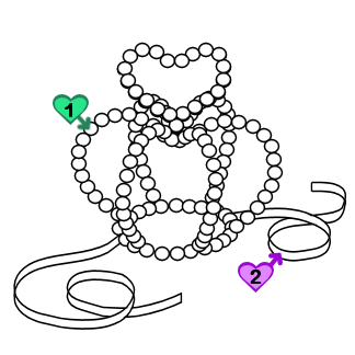 Beaded Crown (CR01-TR00)